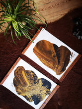 Load image into Gallery viewer, Handmade ~ JATOBA Frames
